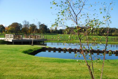 Main Pond